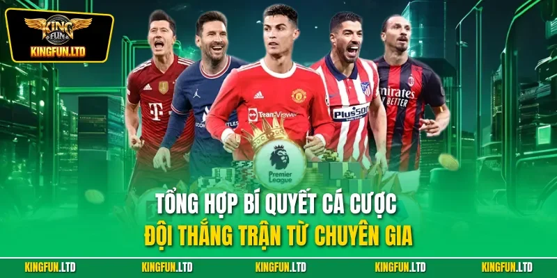 Tổng hợp bí quyết cá cược đội thắng trận từ chuyên gia